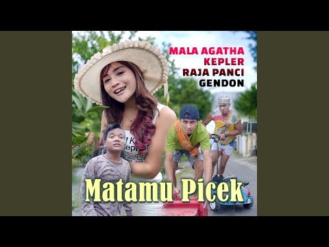 Matamu Picek