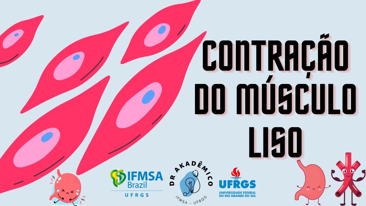 Contração do Músculo Liso - por Thomaz Moraes.