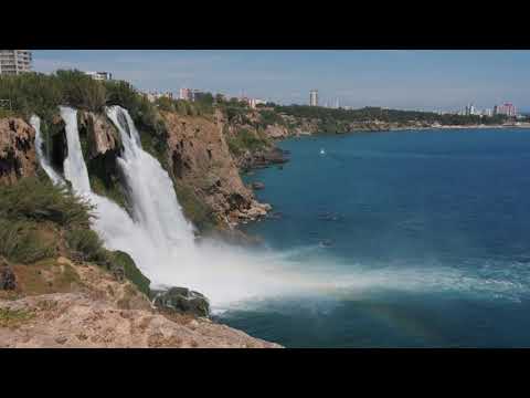 PHỤC HỒI HỆ THẦN KINH 🌿 Âm nhạc nhẹ nhàng xoa dịu hệ thần kinh và làm tâm hồn dễ chịu