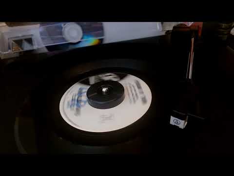 The Alley Cats / Puddin N' Tain (Ask Me Again, I'll Tell You The Same)