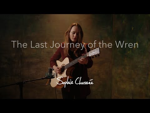 The Last Journey of the Wren - Sophie Chassée (Livesession)