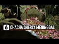 Sang Adik Ungkap Pesan Terakhir Eks Personel Trio Macan Chacha Sherly Liputan6 Com