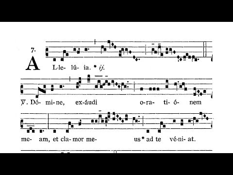 Dominica XVII post Pentecosten (XVII Sunday after Pentecost) - Alleluia (Domine exaudi)