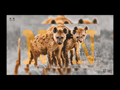 N.N - Hijene (prod. 12bitz)