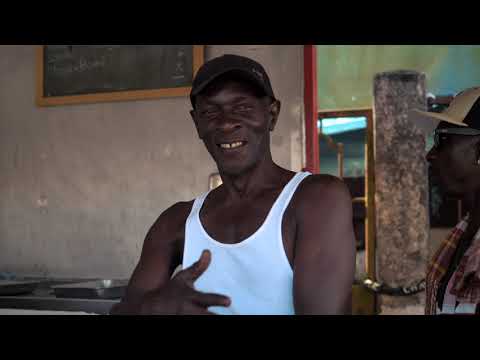 LION P - BCD (Clip Officiel)