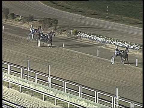 Trotto 30/12/2016 - prova di qualifica