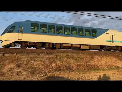 こども学科 【ミュージックホーン】しまかぜ