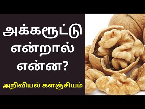 அக்கரூட்டு என்றால் என்ன? | English walnut Akhrot in tamil | அறிவியல் களஞ்சியம்