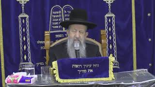 כל הלומד תורה בחודש אלול זוכה להריח ריח גן עדן בתפילתו סודאי אלול תשפג