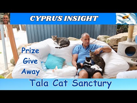 Tala Cat Sanctury, Paphos - The End Of a Dream?