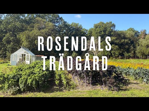 Table to farm 2000m2 at Rosendals Trädgård