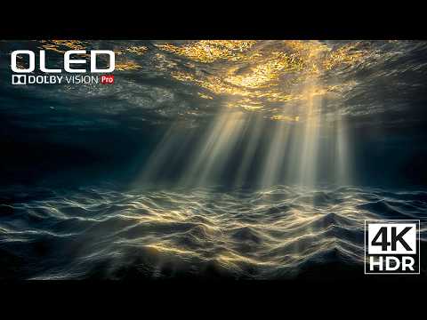 The Coolest 4K Video ULTRA HD 240FPS | Dolby Vision HDR 4K