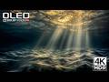 The Coolest 4K Video ULTRA HD 240FPS Dolby Vision HDR 4K