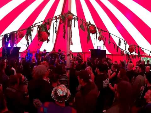 Black Star Dub Collective - Common Ground 2016