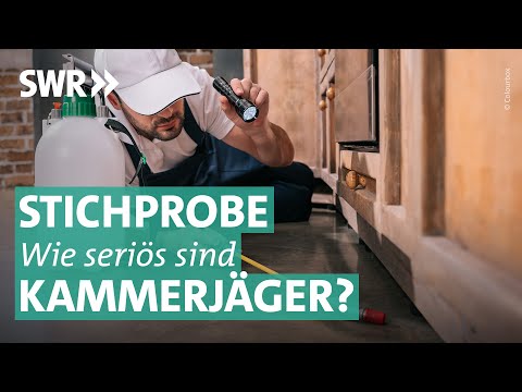 Wie gut sind Schädlingsbekämpfer? Handwerker-Stichprobe | Marktcheck SWR