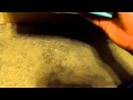 Surprise VHS Moives