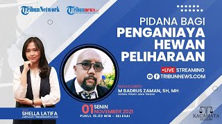 KACAMATA HUKUM: Pasal Hukum bagi Penganiaya Hewan