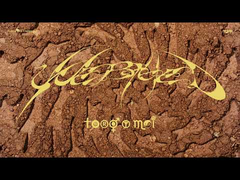 Madonna Unerthed - Toro Y Moi