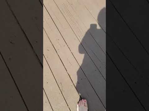 Behr deck over