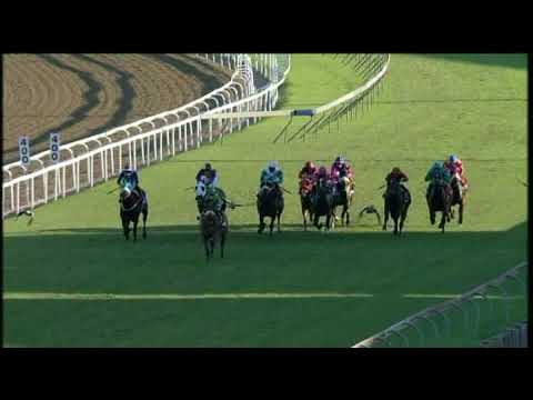 20200620 Hollywoodbets Greyville express clip Race 9 won by CAPTAIN OF COLOUR