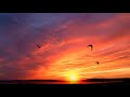 4K Videos ULTRA HD Red Sky Nature Background Videos Non Copyrighted Videos