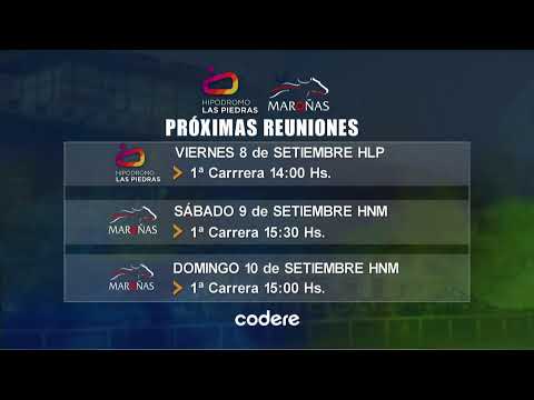 CARRERAS  SINT FLORIDA 7/09/2023