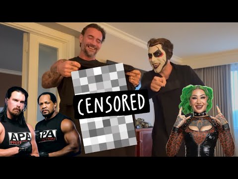 Danhausen Gifts CM Punk A Very Nice Best Friends Shirt