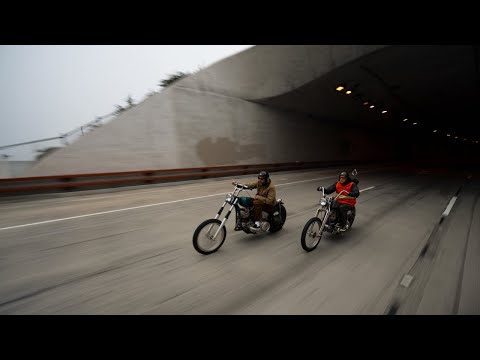 Fifty Weight Forecast