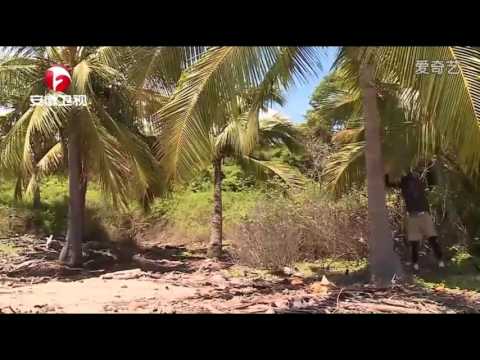 [eng] 20160627 Z.Tao Unseen from Rules of Our Own episode 3