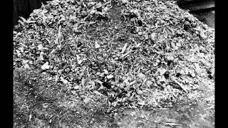 Iacopo Fedi - Hunter Of Invisible Game (Springsteen)