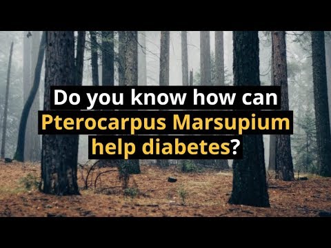 pterocarpus marsupium extract diabetes pterocarpus marsupium extract diabetes