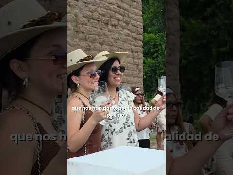 🍇🍷 Bodega La Magdalena #vendimia de los Valles. #jujuy