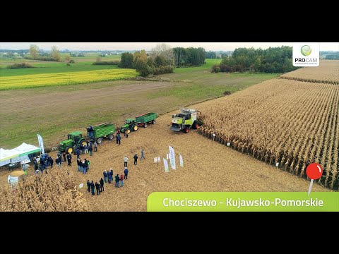 Warsztaty kukurydziane PROCAM – Chociszewo pow. włocławski 2022