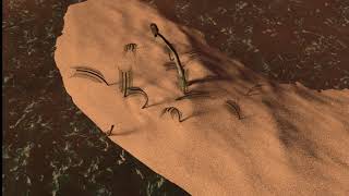 Cortometraje Sueño de Coco