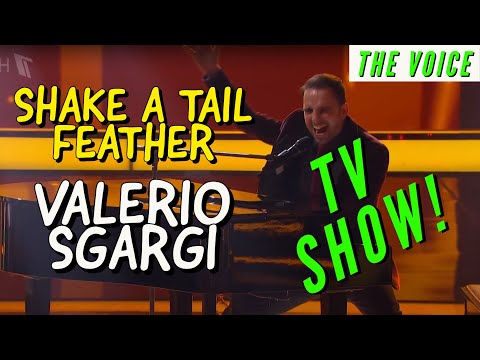 Valerio Sgargi  - Shake a Tail Feather - Live