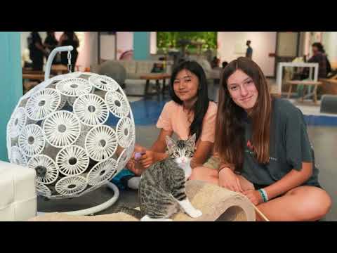 The Harker School - Middle School Summer Institute