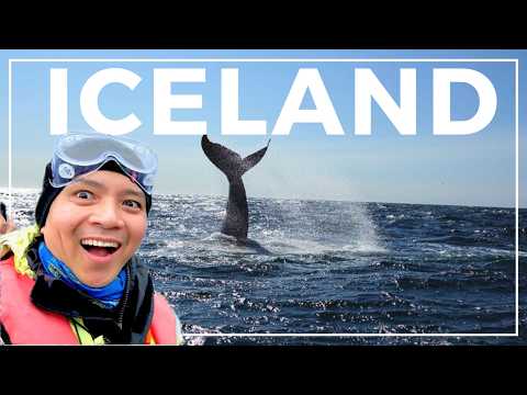 I Spent 5 Days Travelling Around Iceland. Here's My 5 Day Iceland Itinerary