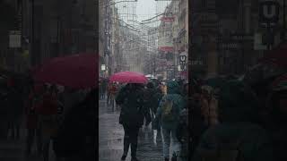 Download lagu When Vienna turns into a snow globe ❄️✨ mp3 Download lagu When Vienna turns into a snow globe ❄️✨ mp3