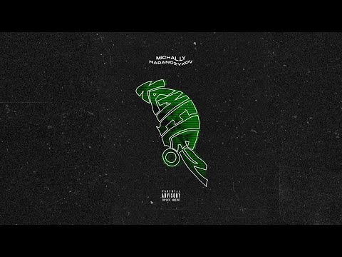 michal.ly ft. haranczykov - kameleon [prod. no!sy]