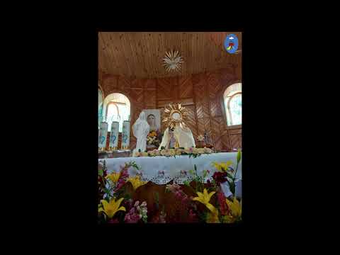 Czatachowa 26.05.2022 - Wynagradzanie za profanacje i podziękowanie za kapłaństwo. Koronka do BM