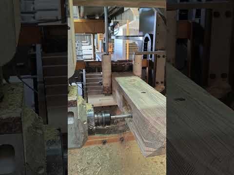 Essetre Techno Turn P251117271