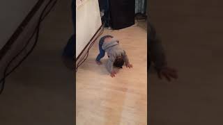 A day in the life of Kelis