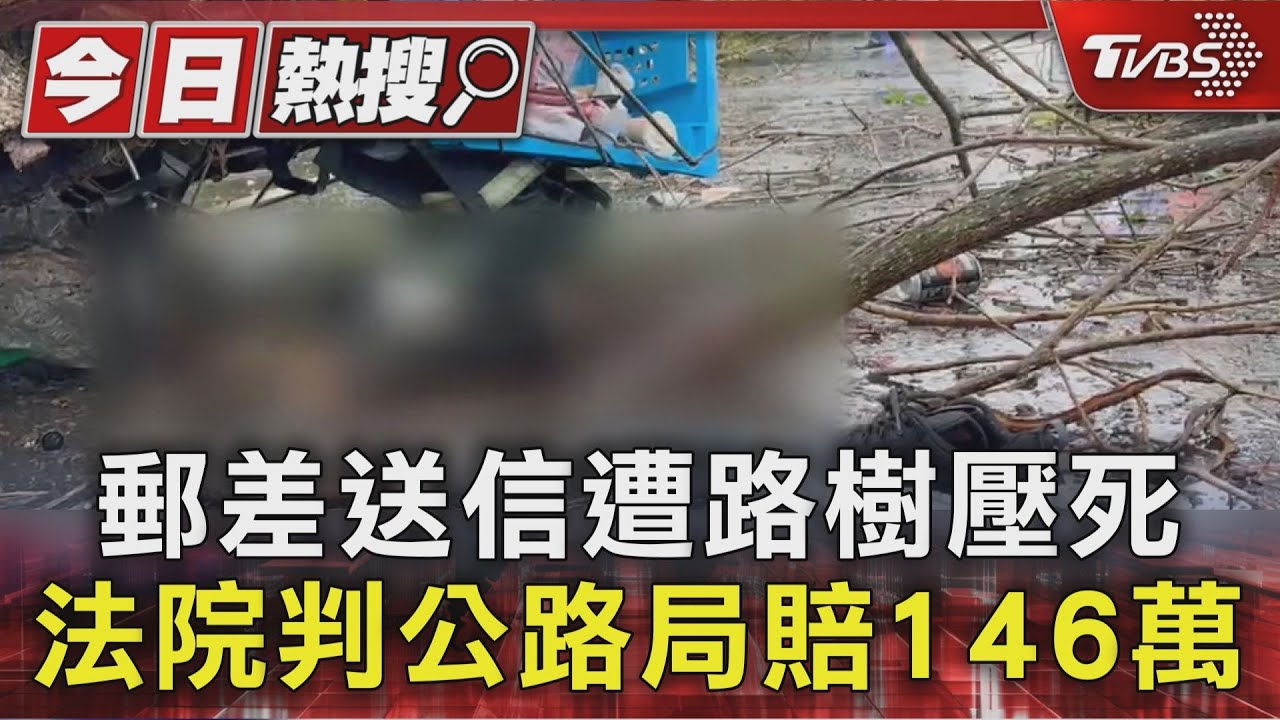 「一條人命只值這些?」郵差遭路樹砸死 國賠僅146萬老母心碎了