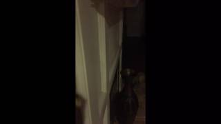 Cover song -inconsolable by tamara