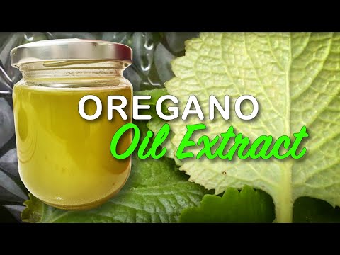 How to Make Oregano Oil From Oregano Leaves