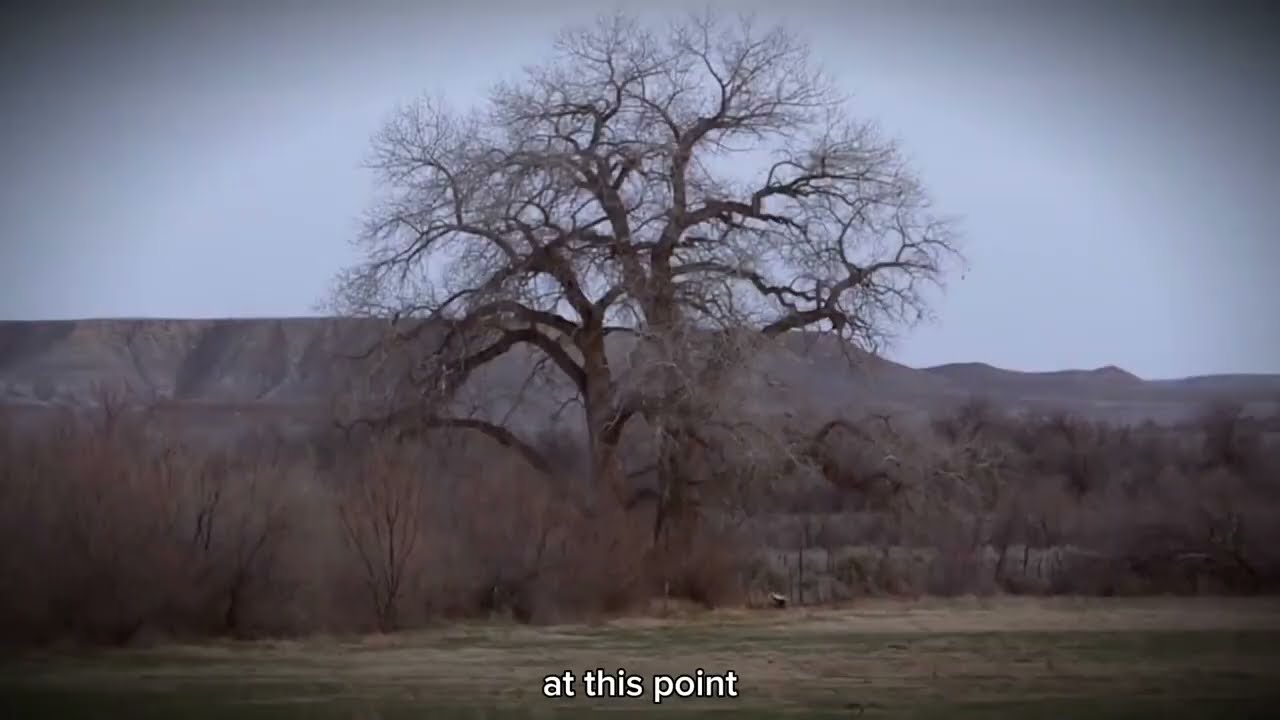 YouTube Thumbnail Downloader FULL HQ IMAGE