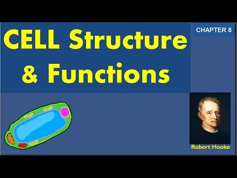 Cell structure and function - CBSE Class 8 Chapter 8 explanation and question answers Video