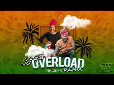 DJ TOA 19' - Overload (Zinnia) X SEANRII [REMIX]