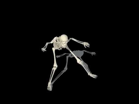 Esqueleto loquendo I El día 1.