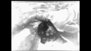 The Flying Lizards - In My Lifetime